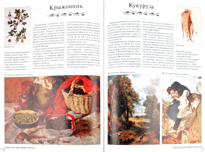 50.Самые вкусные овощи и фрукты