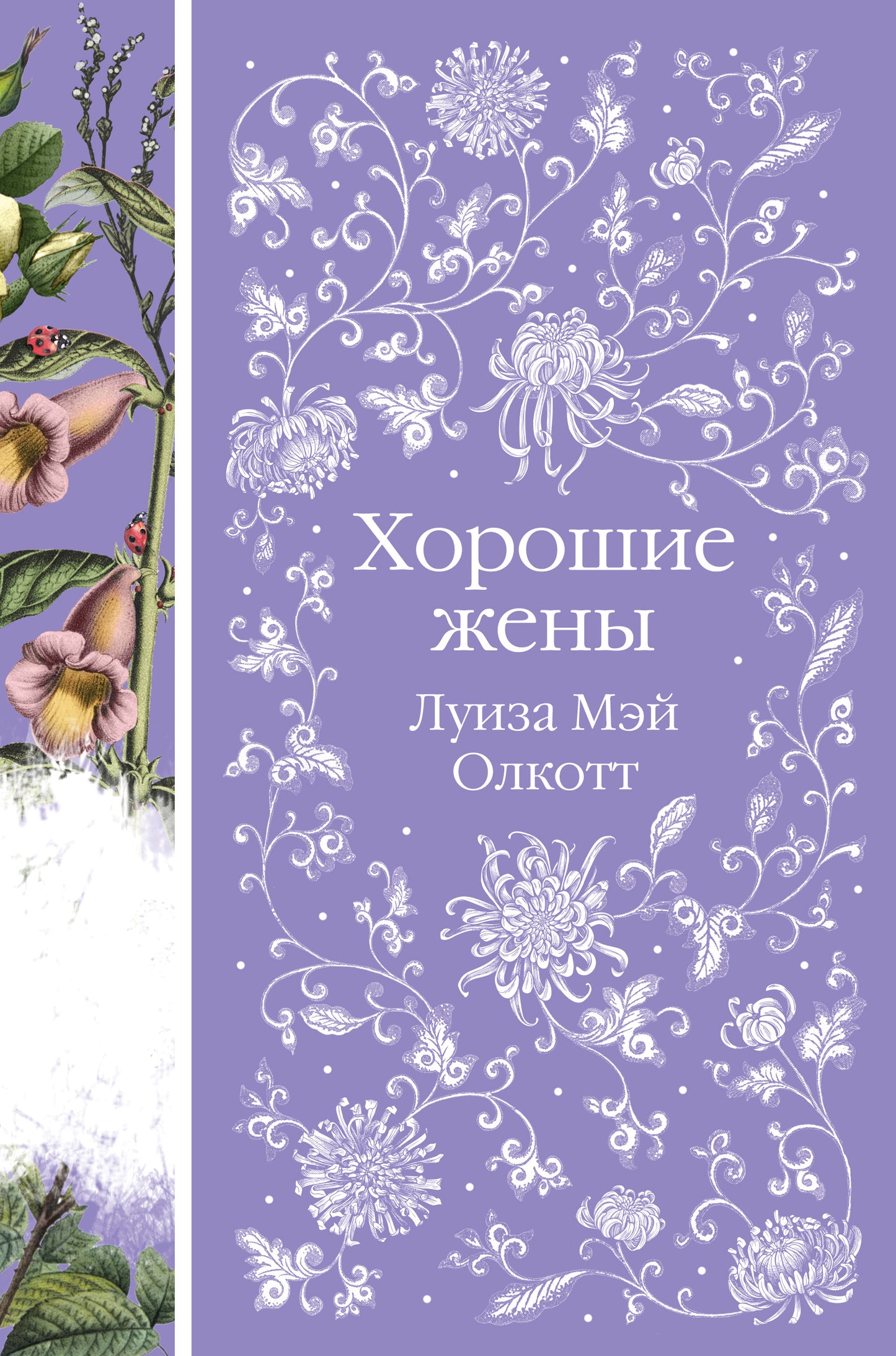 Horoshkie femmes