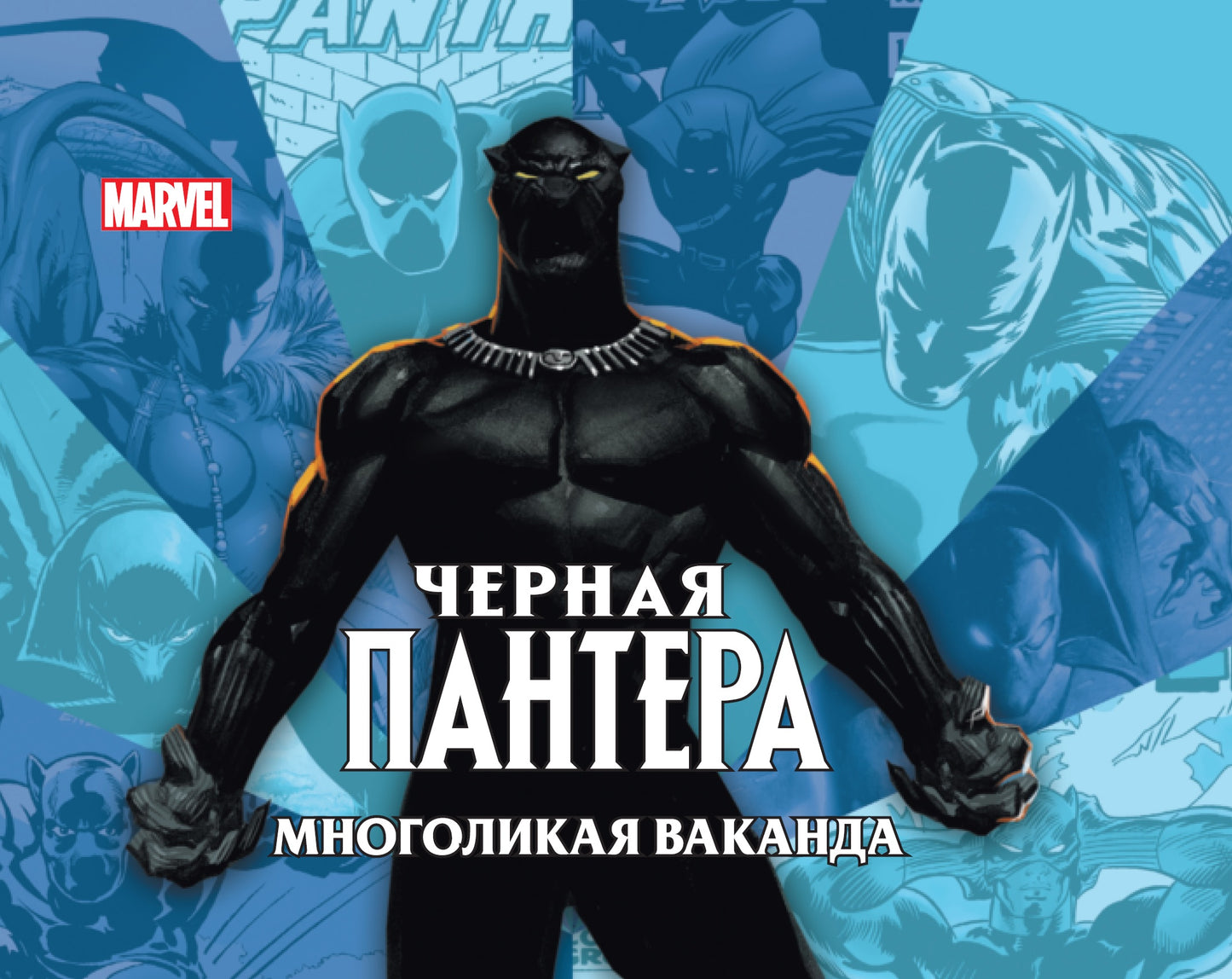 Чёрная пантера: многоликая Ваканда. Только факты.