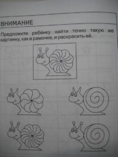 4года ч2 Вниман., память, мышл., мелк. moto