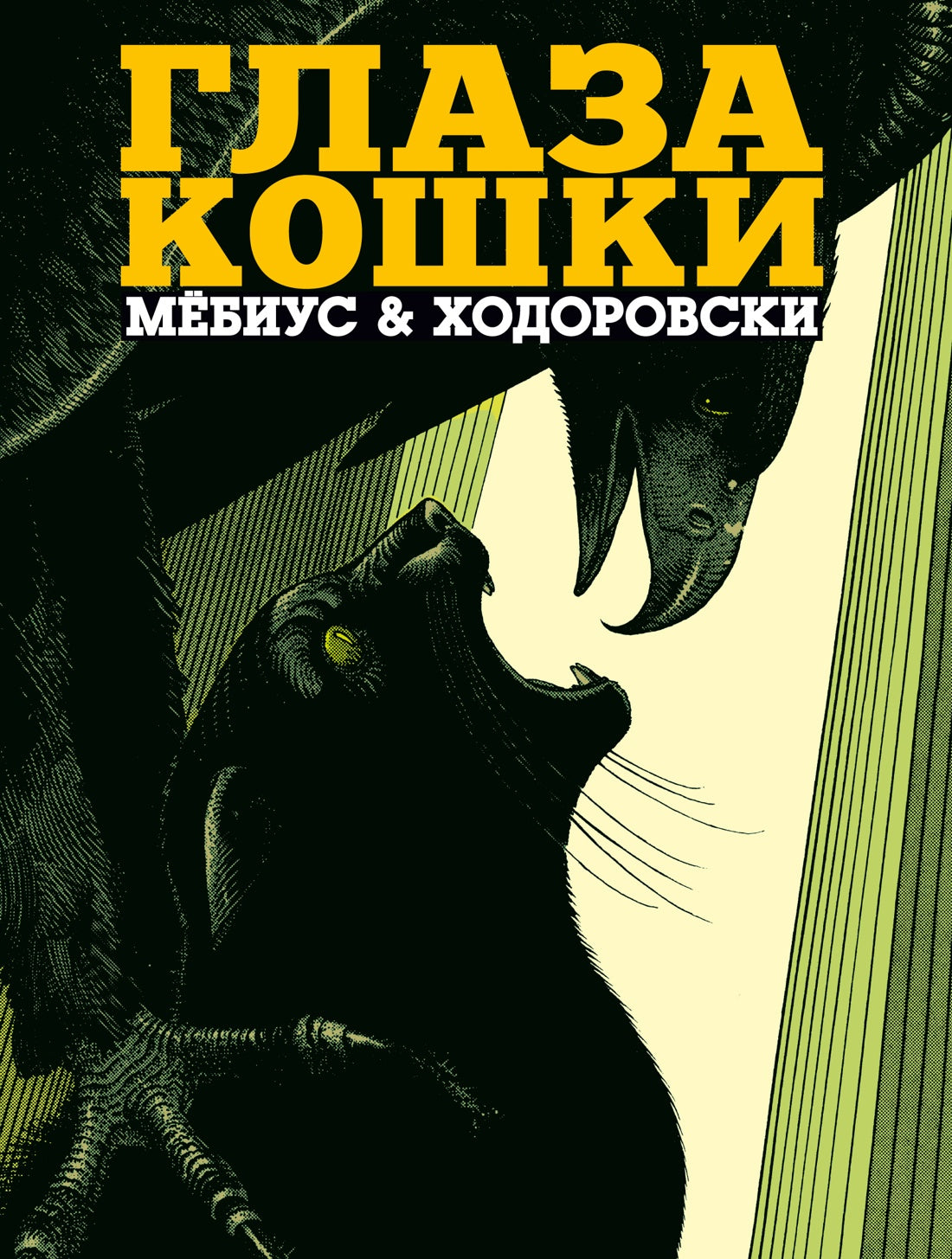 Глаза кошки