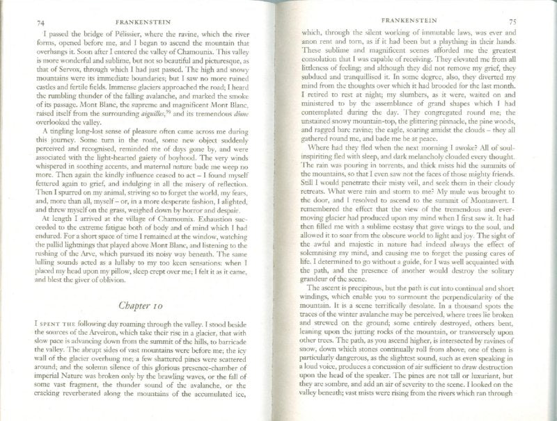 Frankenstein (бол., синяя)