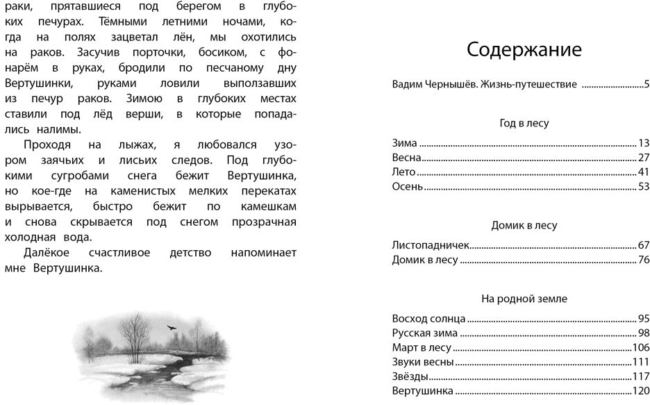 Год в лесу