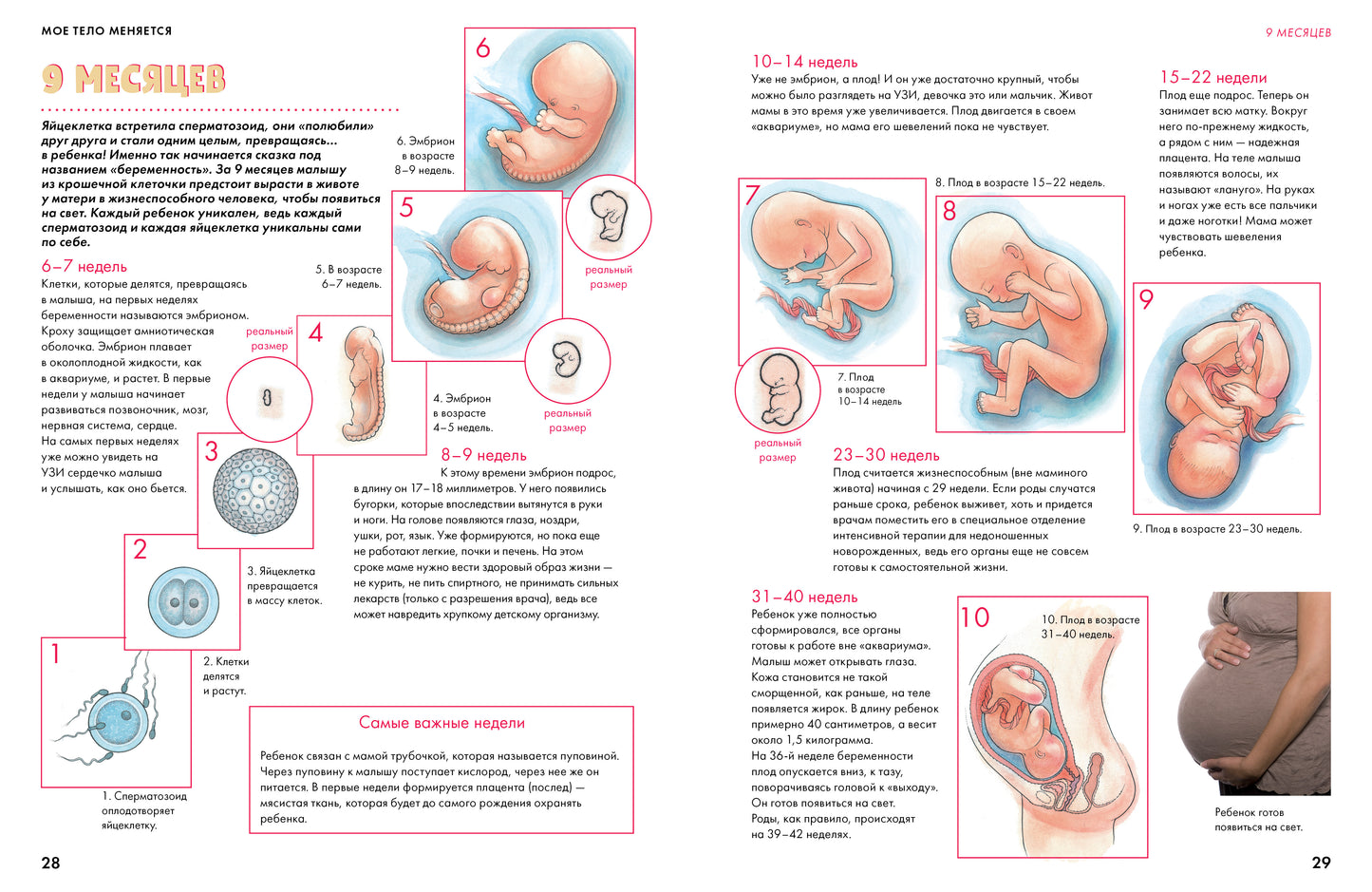 Mon téléphone est le suivant : qu'est-ce qui est chaud pour les podros et qui sont ceux qui gèrent les robots
