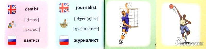 Профессии.Спорт=Professions.Sport:коллекция карточ