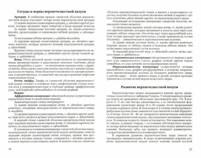 Функциональная анатомия ЛОР-органов