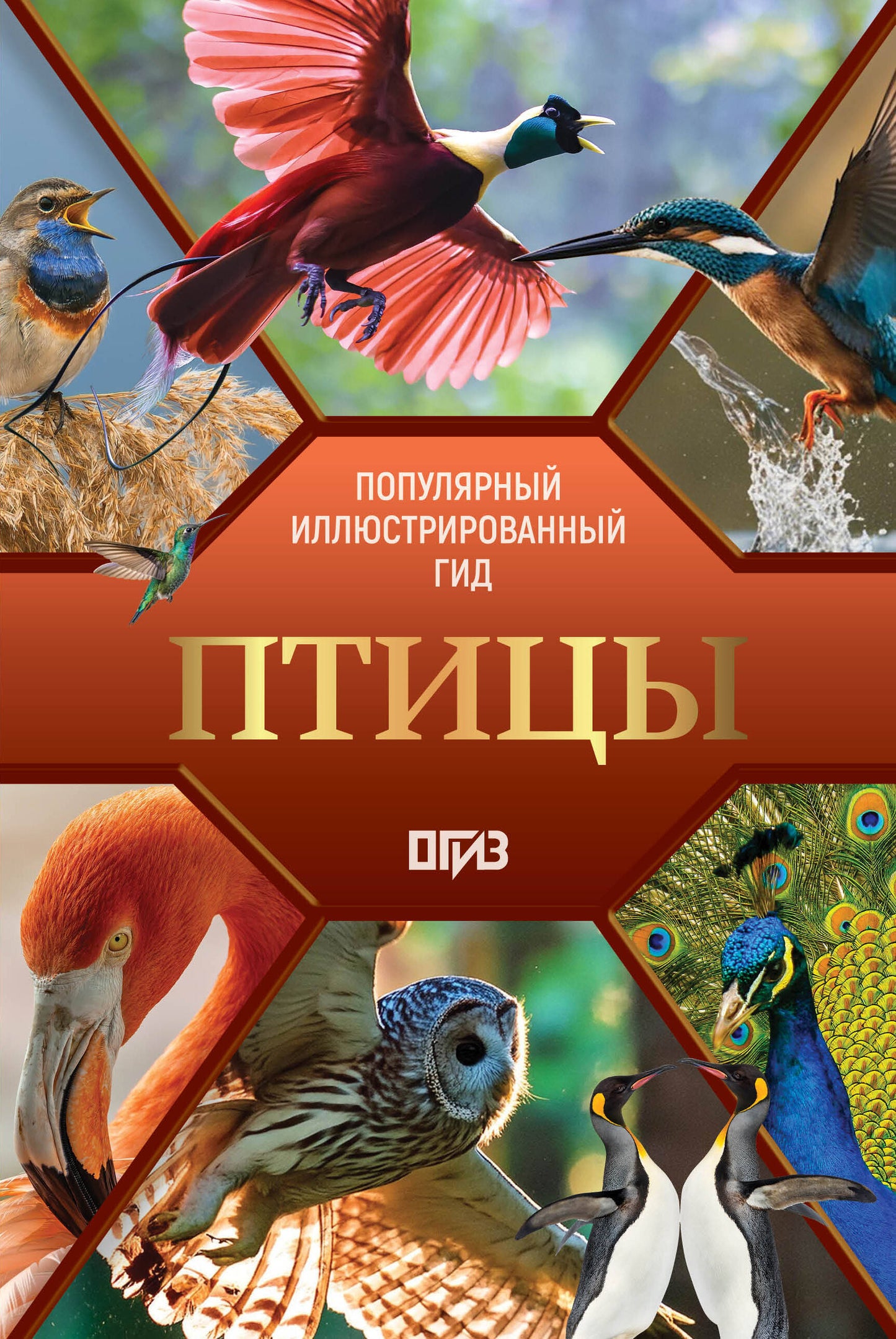Птицы. Иллюстрированный гид