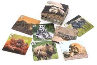 Ми-Ми-Мемо "Африка" (30 карточек) арт.8049 /36