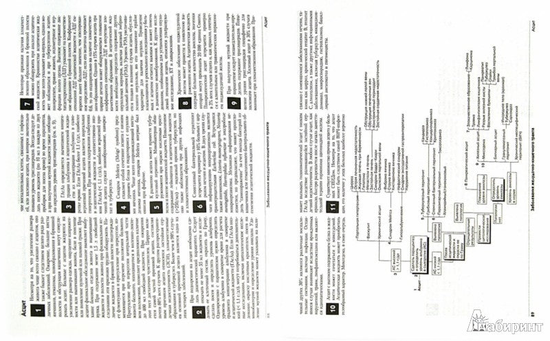 Diagnostic différentiel
