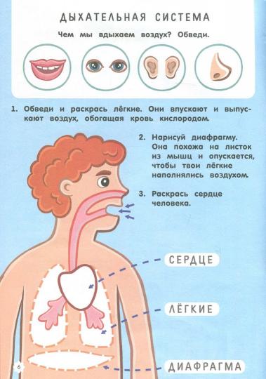 Comment tout utiliser : lire avec les utilisateurs