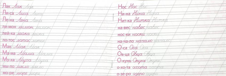 КАЛЛИГРАФИЧЕСКАЯ ПРОПИСЬ А5. album. ПИШЕМ СЛОВА
