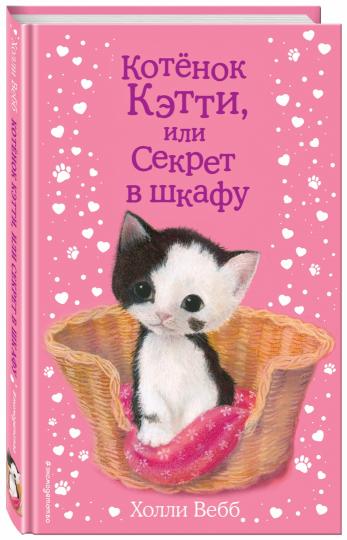 Le chaton ou le secret dans le désert (20)