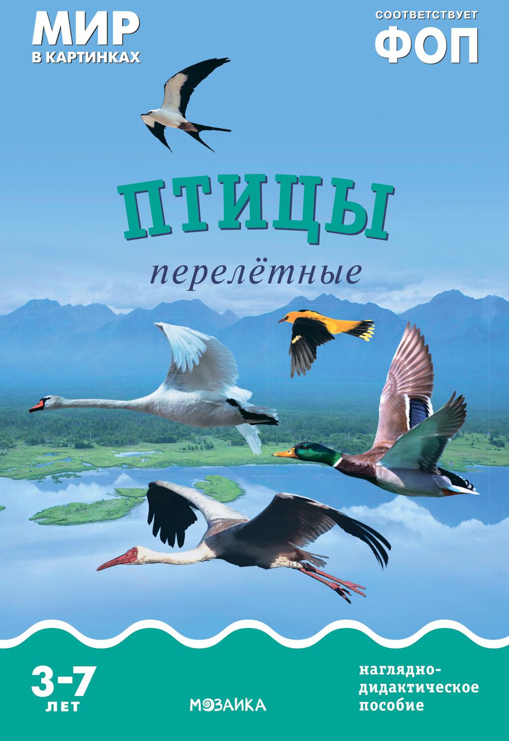 Je suis dans les cartes. Птицы перелетные