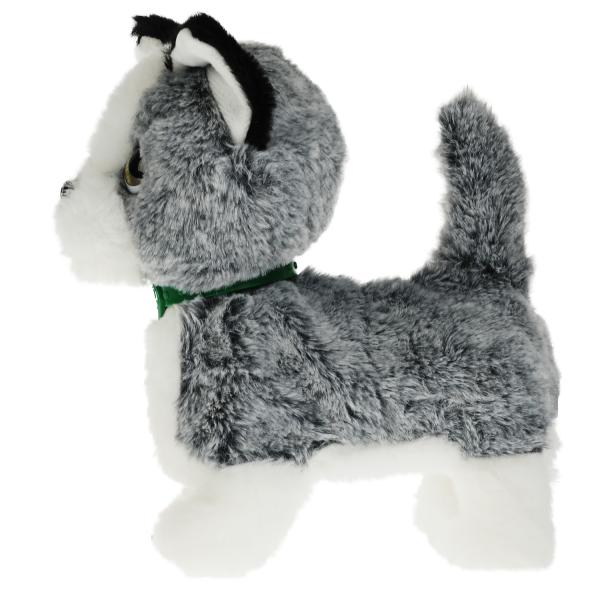 Album interactif de 22 cm avec un volume de 22 pouces, en 12 parties, dans le cor.