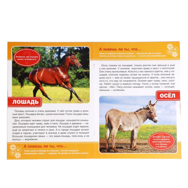 "УМКА". ДОМАШНИЕ ЖИВОТНЫЕ (ЭНЦИКЛОПЕДИЯ А4 С РАЗВИВАЮЩИМИ ЗАДАНИЯМИ) 214Х290ММ, 16 СТР. à kor.30шт