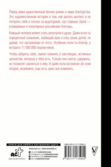 Votre blogueur : бизнес-роман