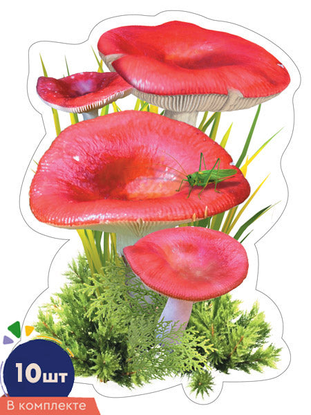 *КМ-17024 Набор украшений на скотче. Грибы Сыроежки. Двухсторонние (10 шт. в наборе)
