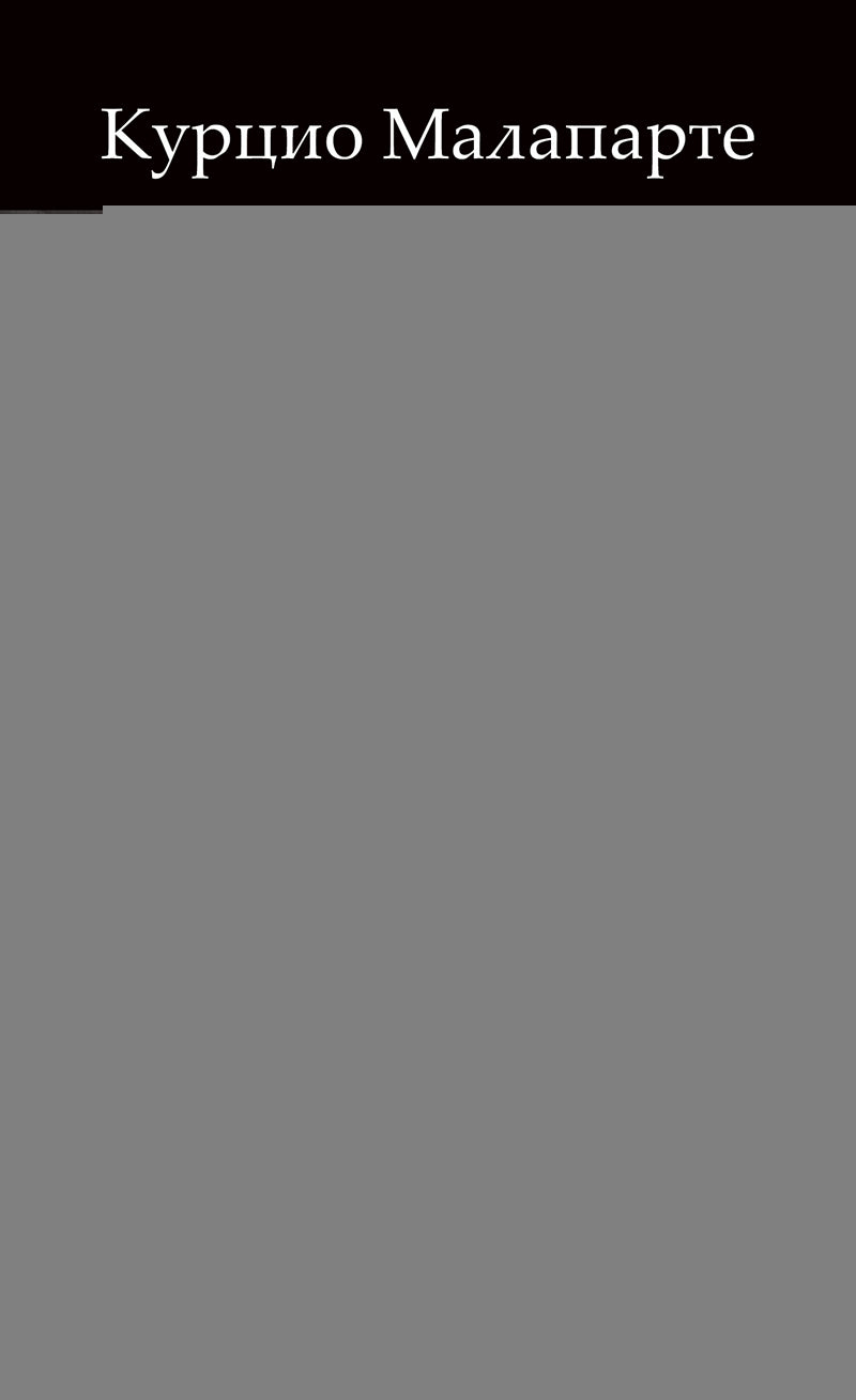 Техника государственного переворота