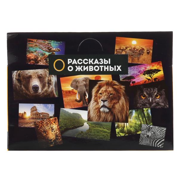 Jeu de plastique pour enfants, dinosaure, trisératops, 11,5*4*5,5 cm, indien. boîtes d'affichage dans le cor.2*72