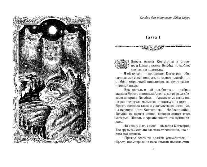 Коты-воители. Alors Cogtegriva. Возвращение