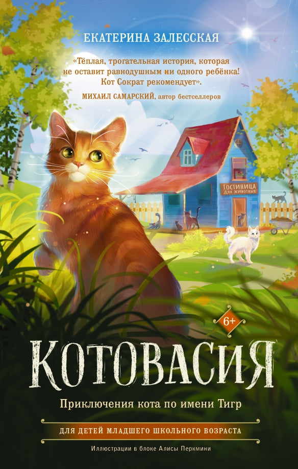 Котовасия. Conseils pour le chat de Tigre