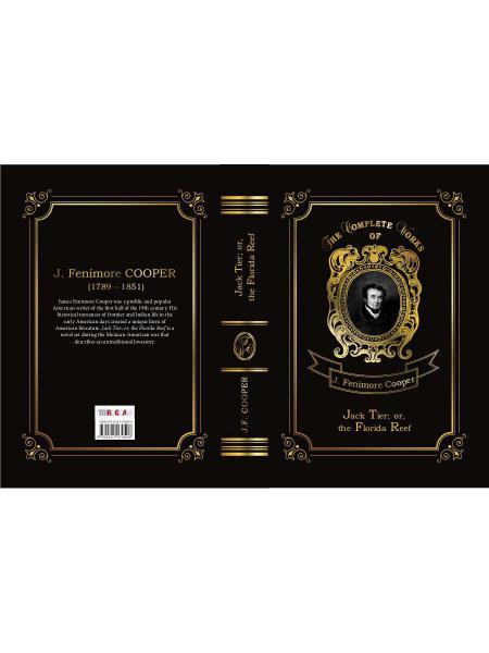 Niveau Jack ; ou, le récif de Floride = Джек Тайер, или Флоридский риф. Т. 14 : en anglais