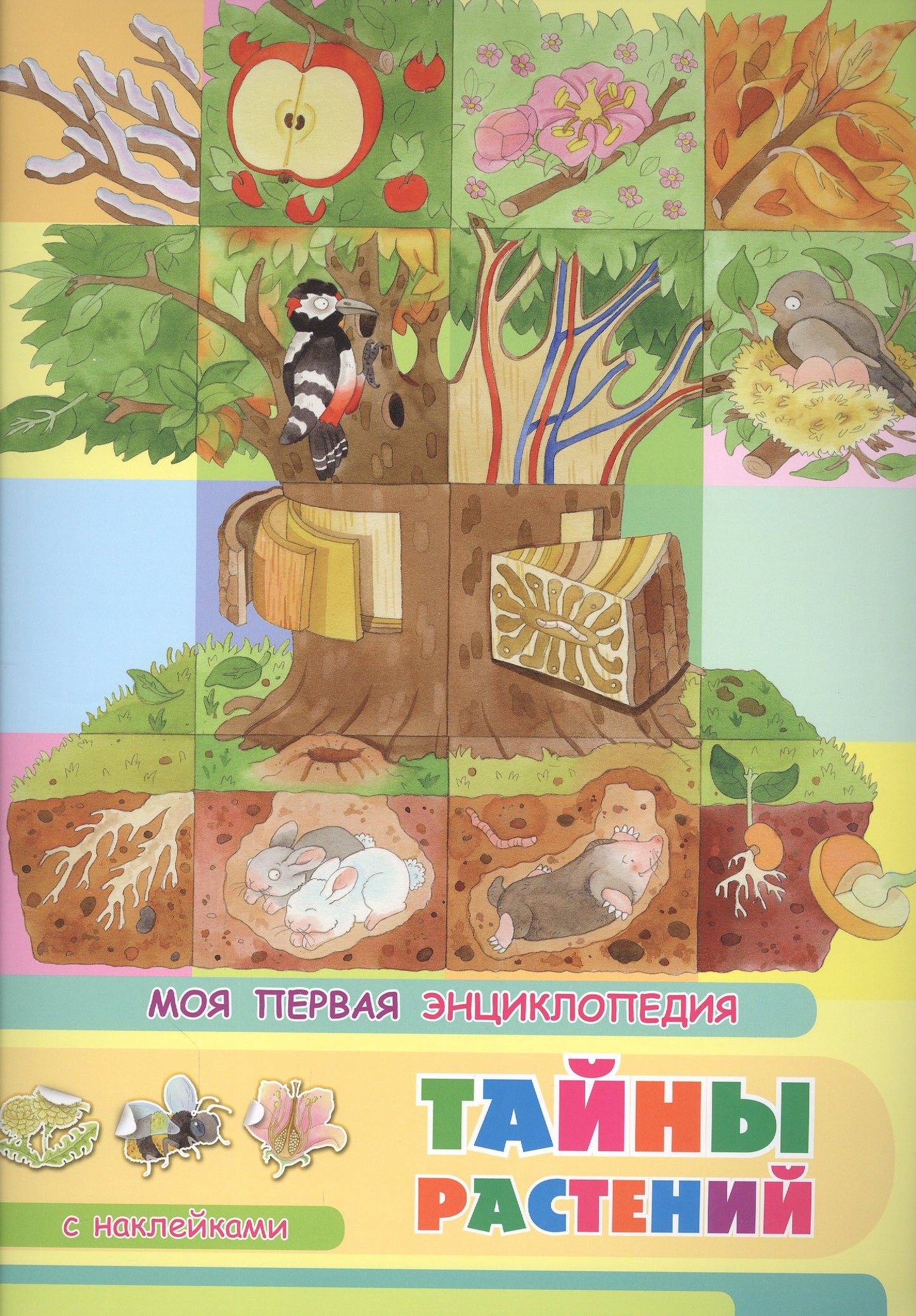 (Накл) Книжка с наклейками. Моя первая энциклопедия. Тайны растений (3452) меловка