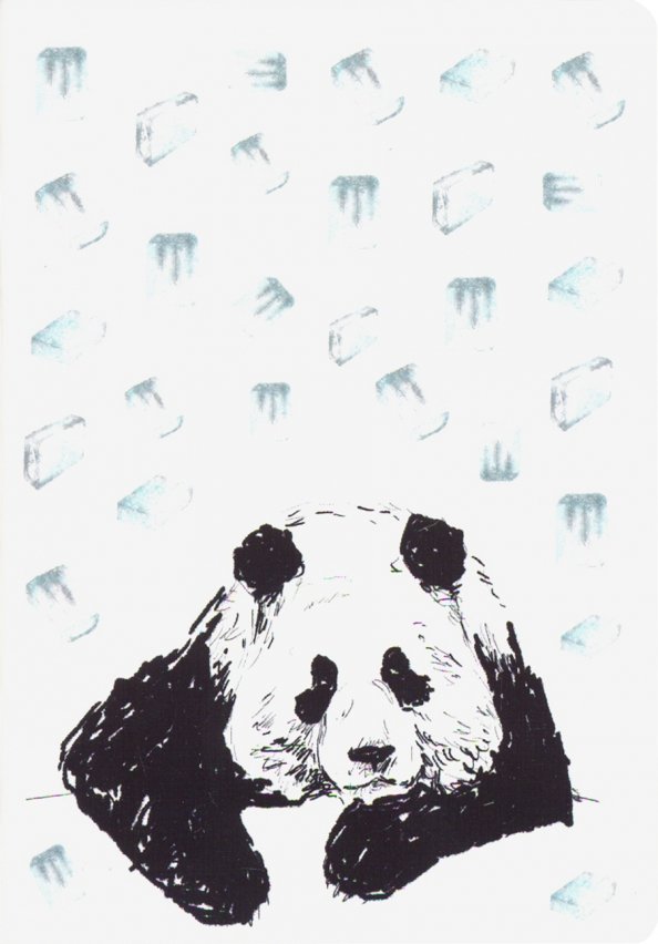 Панда и лёд (блокнот)
