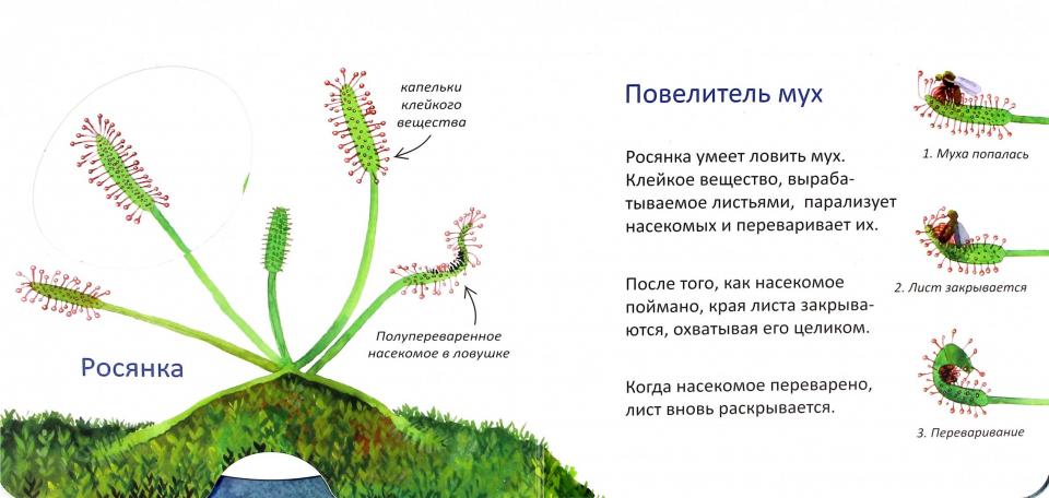 Мы тоже можем (cinéma interactif) (4725)
