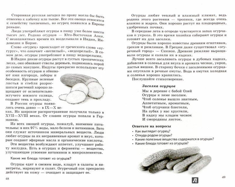 Беседы об овощах с детьми 5—8 лет/ Шорыгина Т.А.