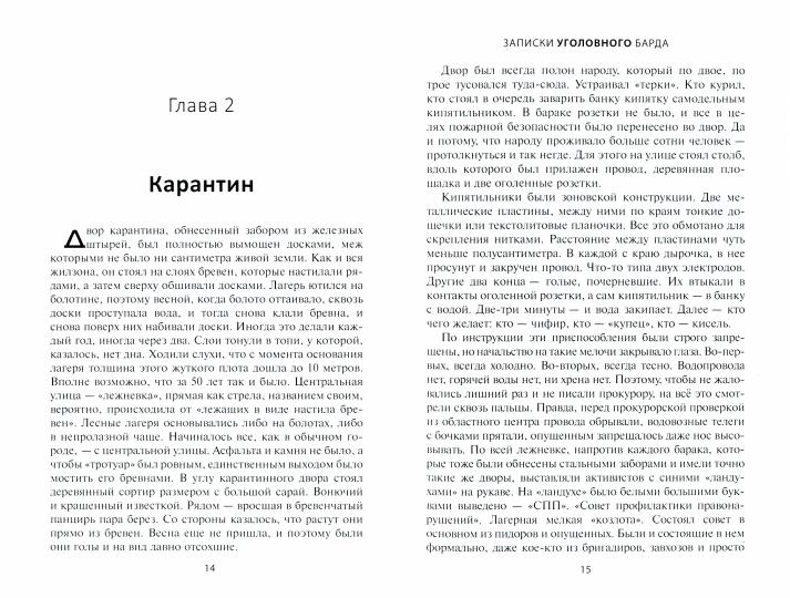 Записки уголовного барда