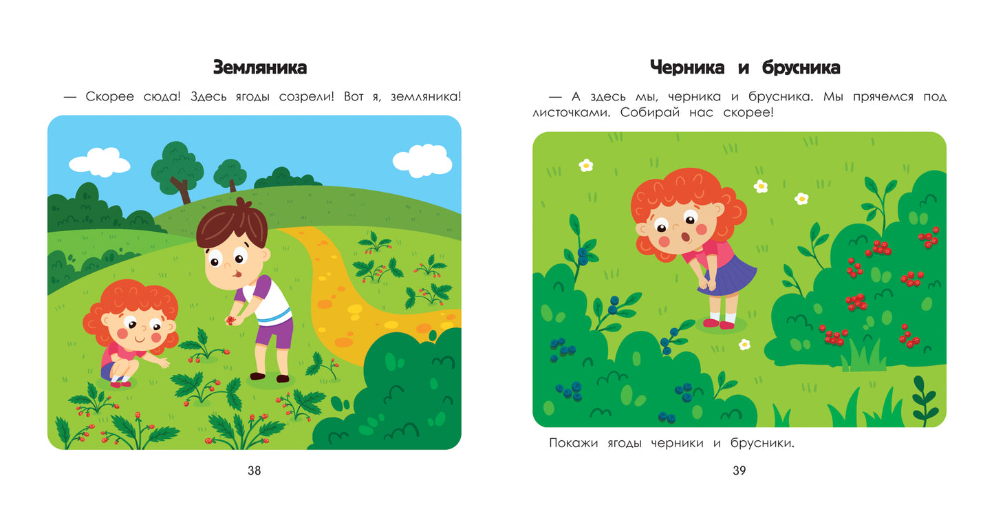 Лес: энциклопедия на малышей в картинках