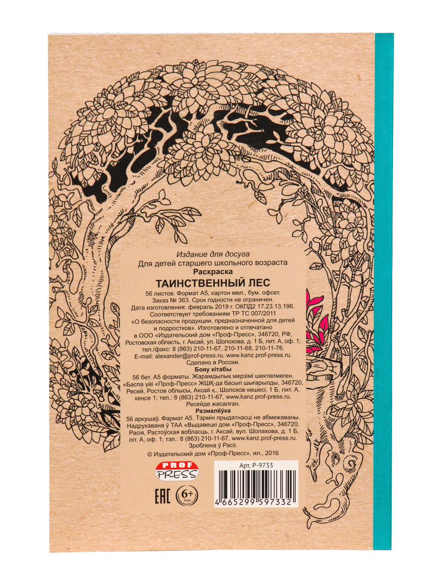 Раскраска-антистресс.А5, 56л., ТАИНСТВЕННЫЙ ЛЕС, КБС, мягк.обл.
