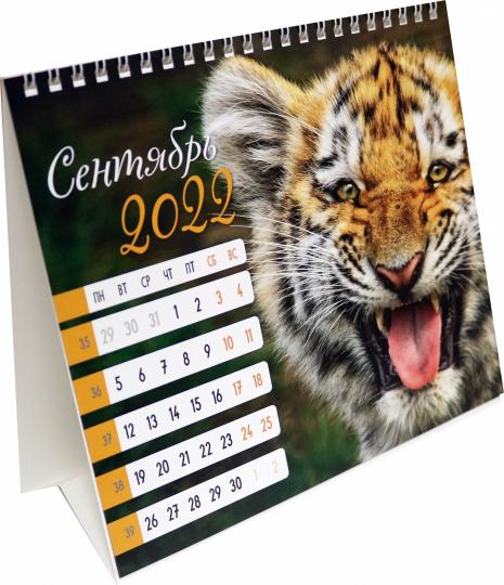 Calendrier du jour (евро) Calendrier du jour 2. Année 2022