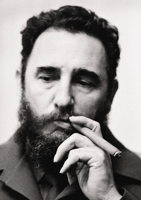 Affiche. Fidel Castro. Portret. Format A4.