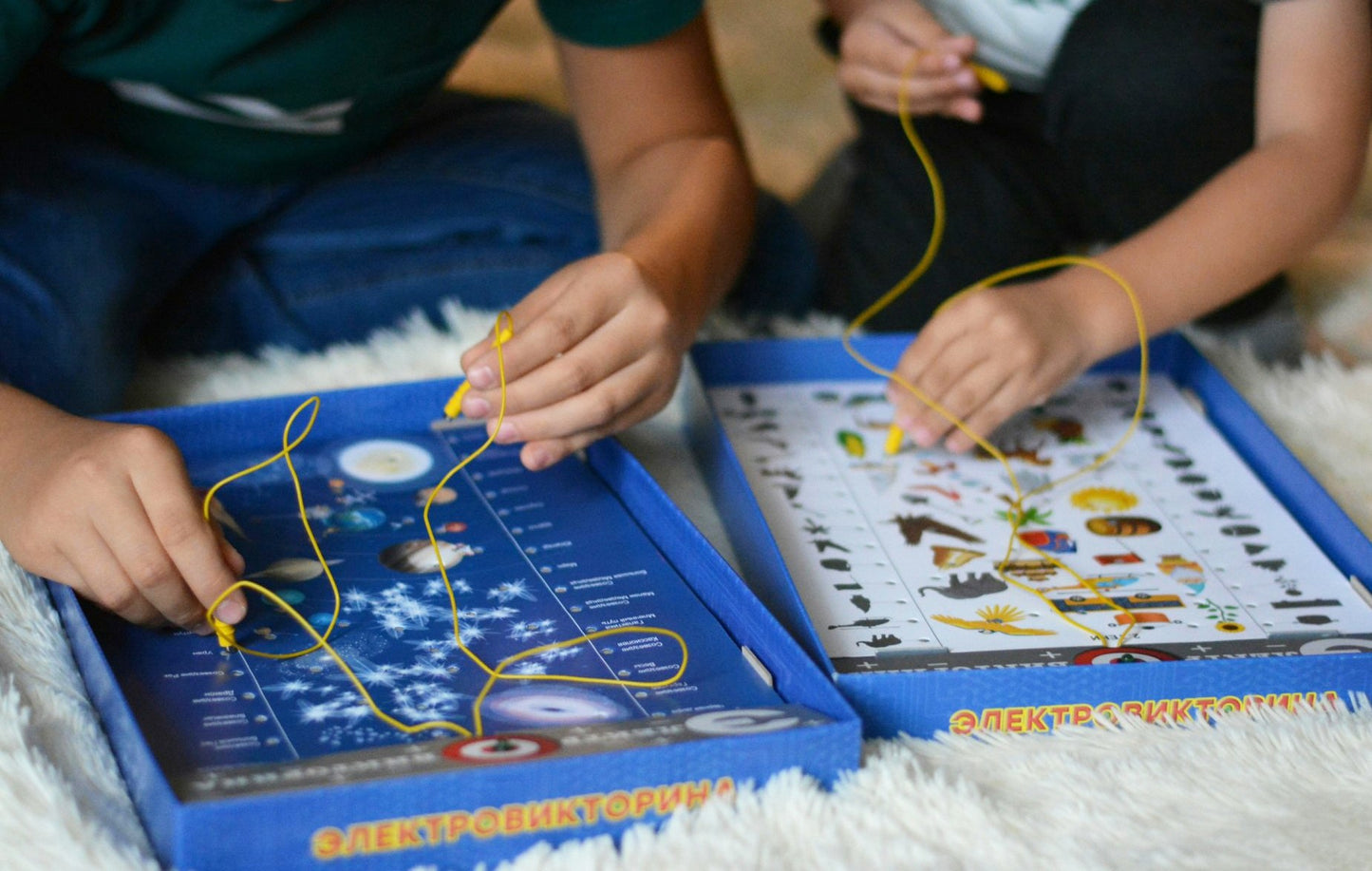 ДК.Игра Электровикторина "Окружающий мир" арт.03672/5