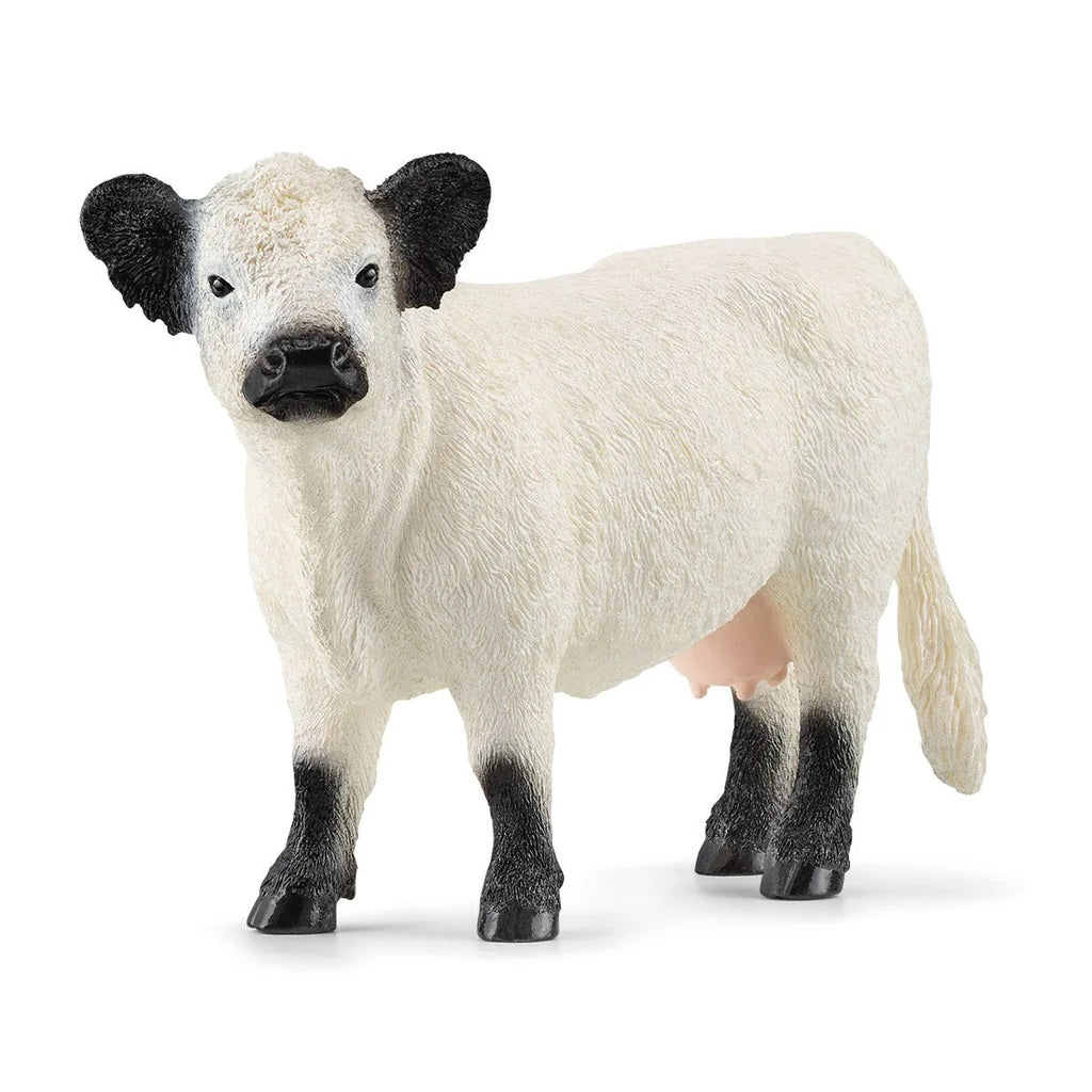 Schleich. Фигурка "Галлоуэйская корова" арт.13960