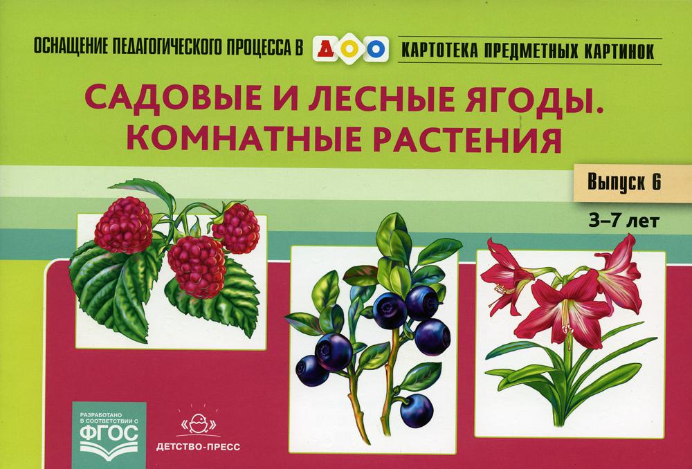 Carte pré-emballée. Выпуск 6. Садовые и лесные ягоды. Комнатные растения. 3-7 лет.(Новый формат) ФОП. ФГОС. Matériel didactique très intéressant.