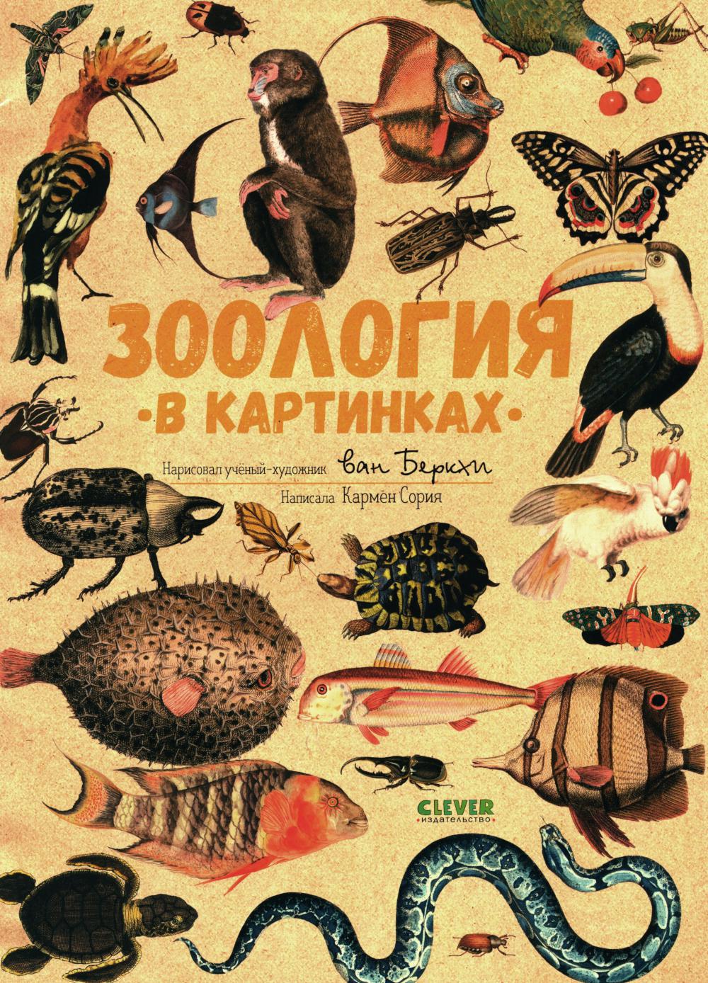 Удивительные энциклопедии. Зоология в картинках 8362