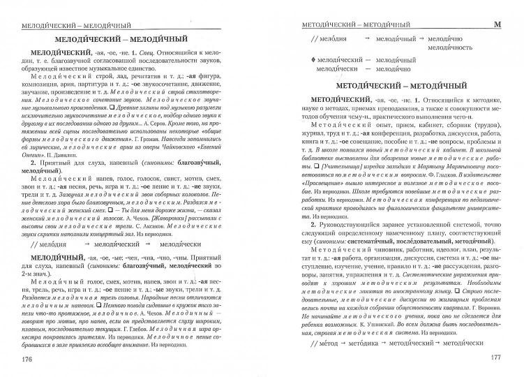 Словарь паронимов русского языка