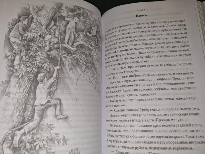 Пашка и его друзья: повесть. À 2 kn. Кн. 1 : les grandes lignes