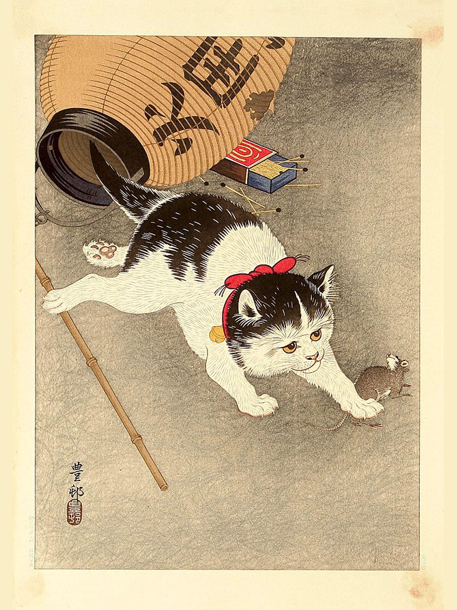 Les coquillages japonais sont très différents. Affiche. Le panier s'ouvre avec beaucoup de choses. Format A4.