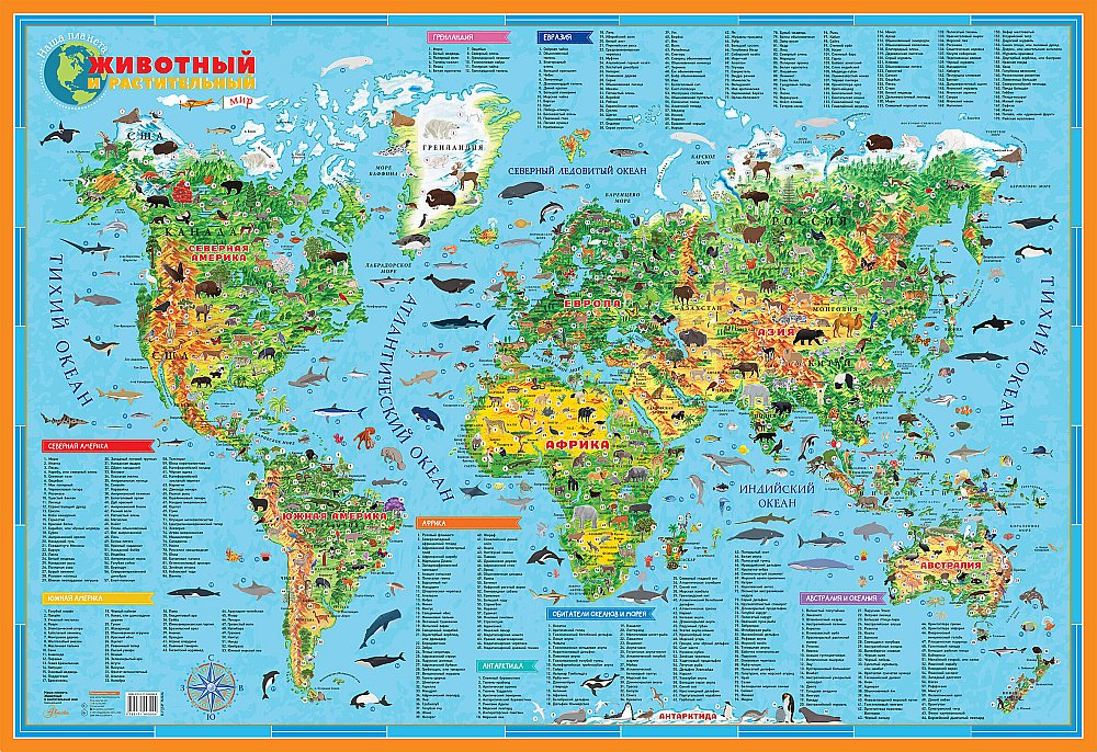 C'est la planète. Le monde vivant et растительный мир. Carte pour bébé