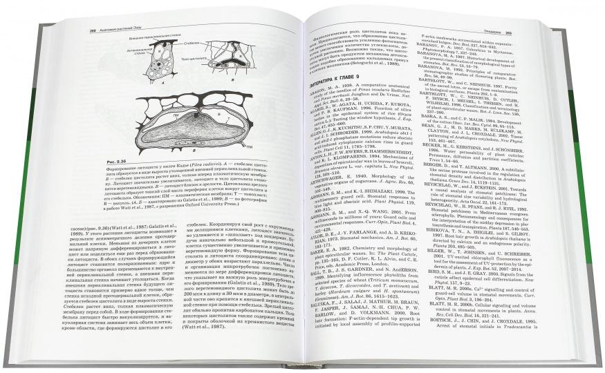 Анатомия растений Эзау. Меристемы, клетки и ткани растений: строение, функции и развитие. Эверт Р.Ф.