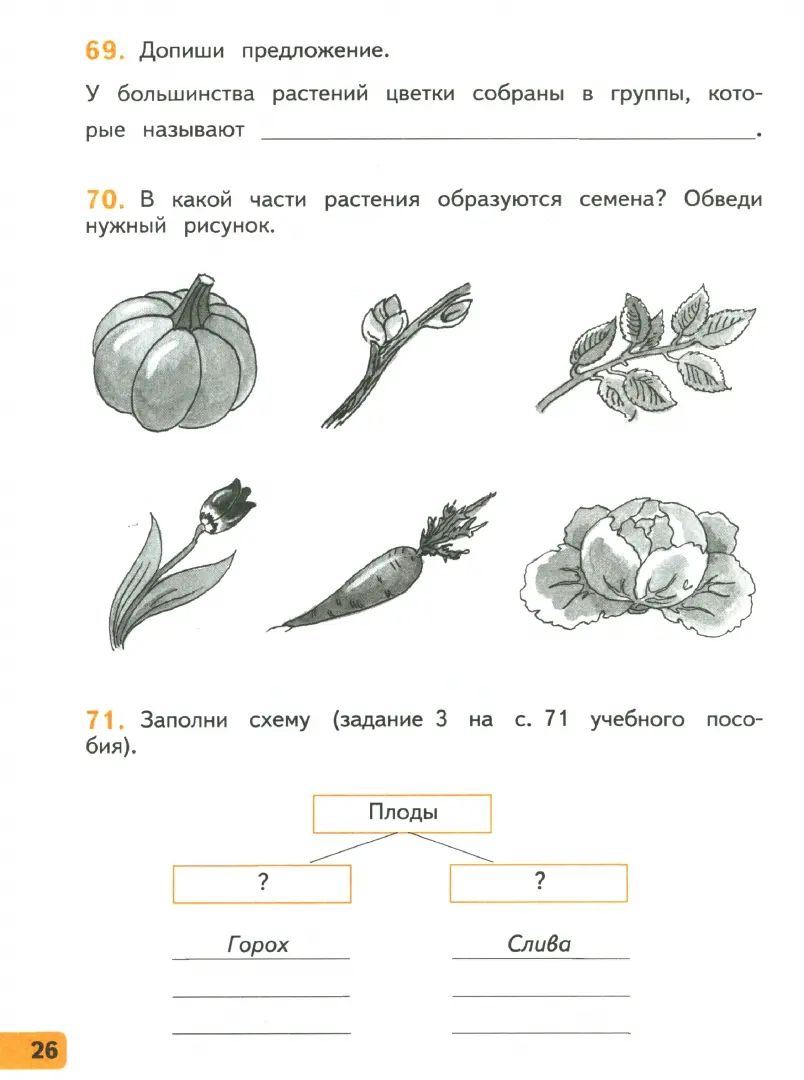 Окружающий мир. 3 класс. Рабочая тетрадь № 1.