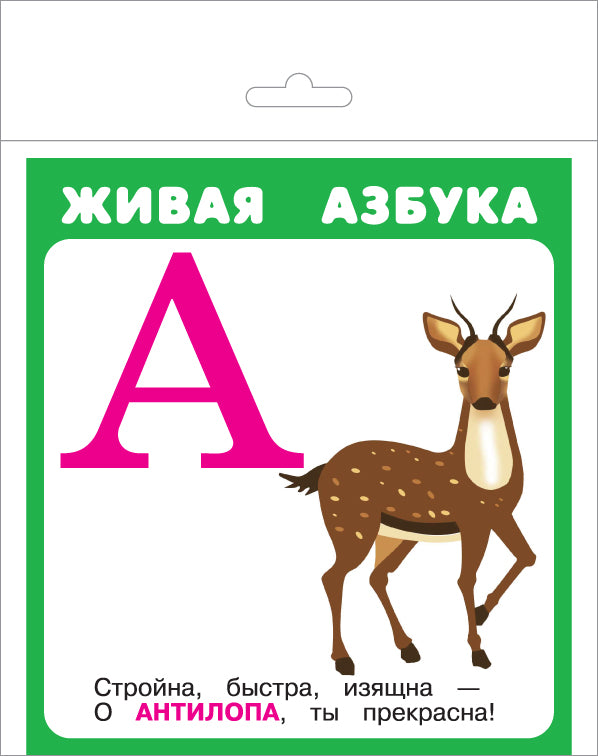 Живая азбука (27 cartes pour l'Europe)