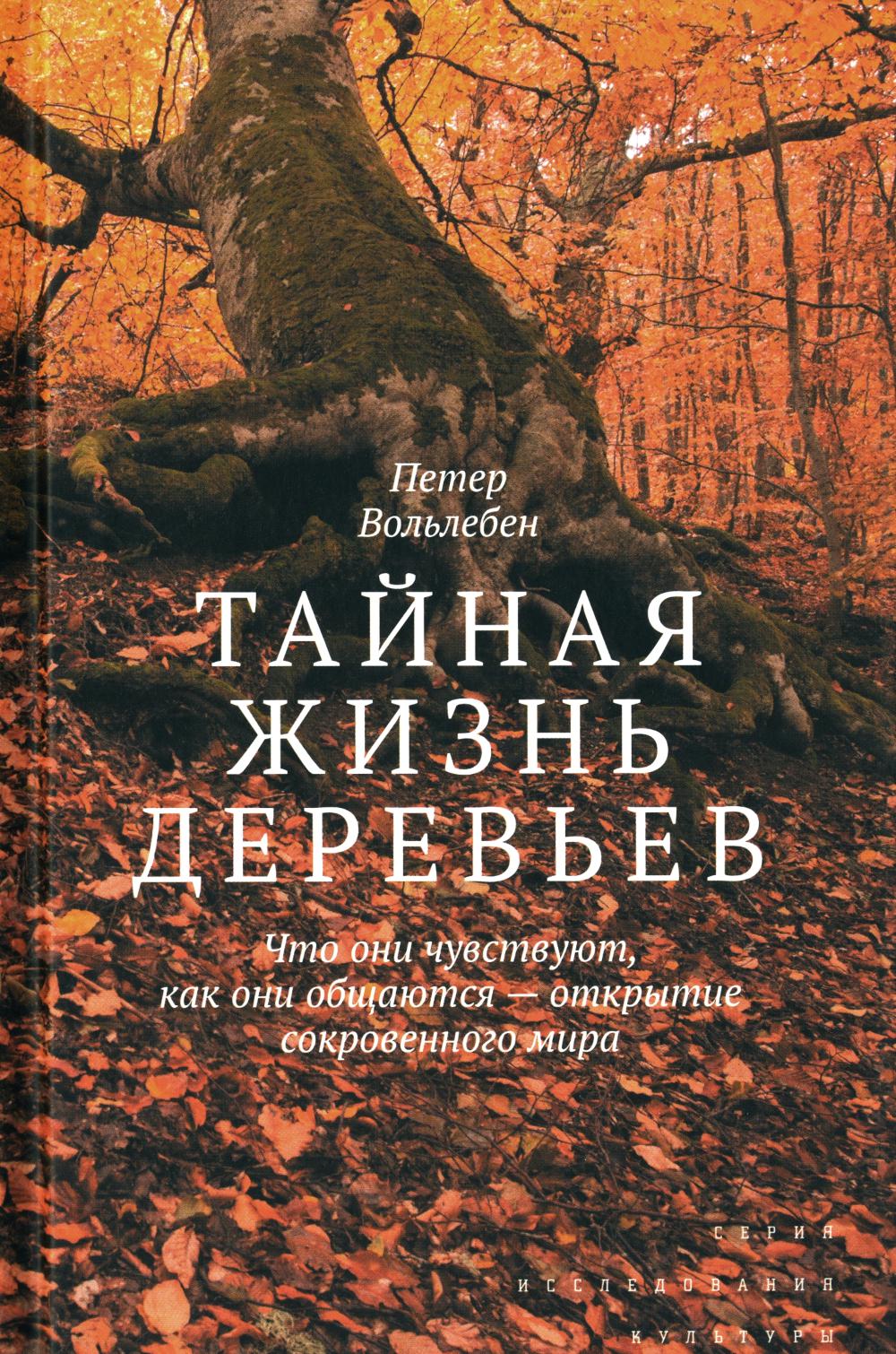 Тайная жизнь деревьев. Qu'est-ce qui se passe, quel qu'il soit, - ouvrez le miroir du soleil. 7-ème jour