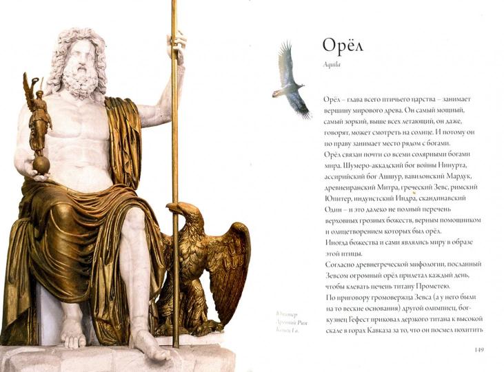 Птица по Имени (рус.). Формат 110 х 155 мм. 344 стр., более 300 цв. илл. Отпечатано в Литве, 2017