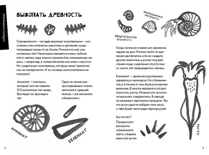 50 познавательных книг на природе