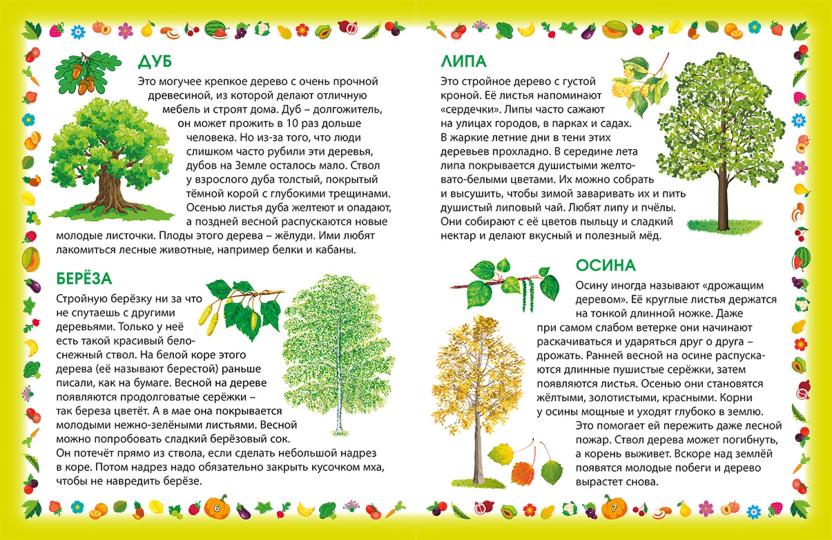 Растения: энциклопедия для малышей